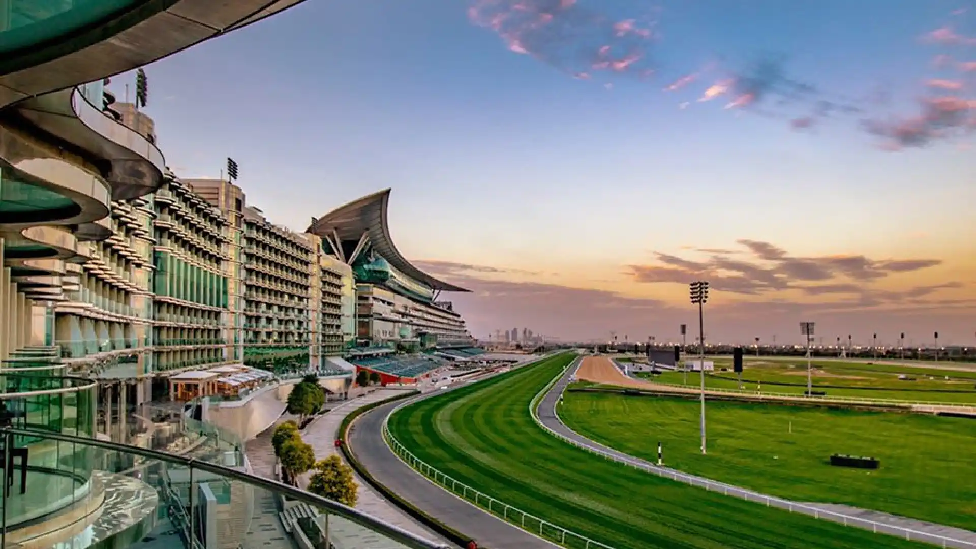 Why Choose DMCC